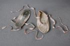 My ballet shoes No.2
