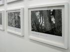 \'Liminal\', Camberwell Space, University of the Arts, London, July 2013